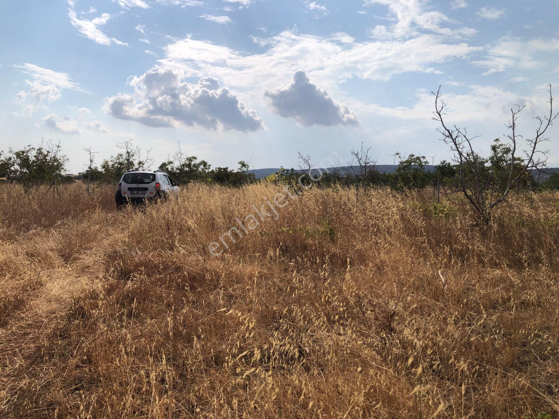 Şarköy De Işık Emlaktan Kocaali Mah De 308 M2 0/25 İmarlı Arsa - Görsel 12