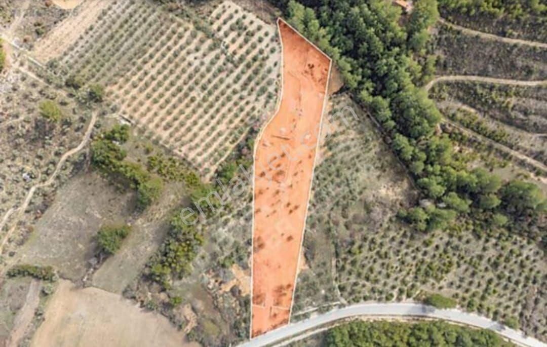 Muğla /menteşe /kafaca'da Anayol Üzeri Satılık Hobi Bahcesı