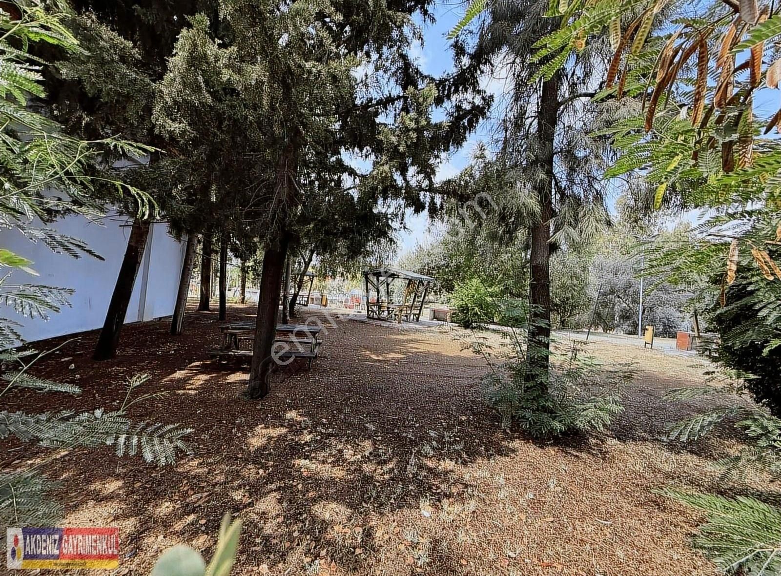 Adana Koop Cadde Üzeri Park Manzaralı İskanlı Kat Mülkiyetli - Görsel 5