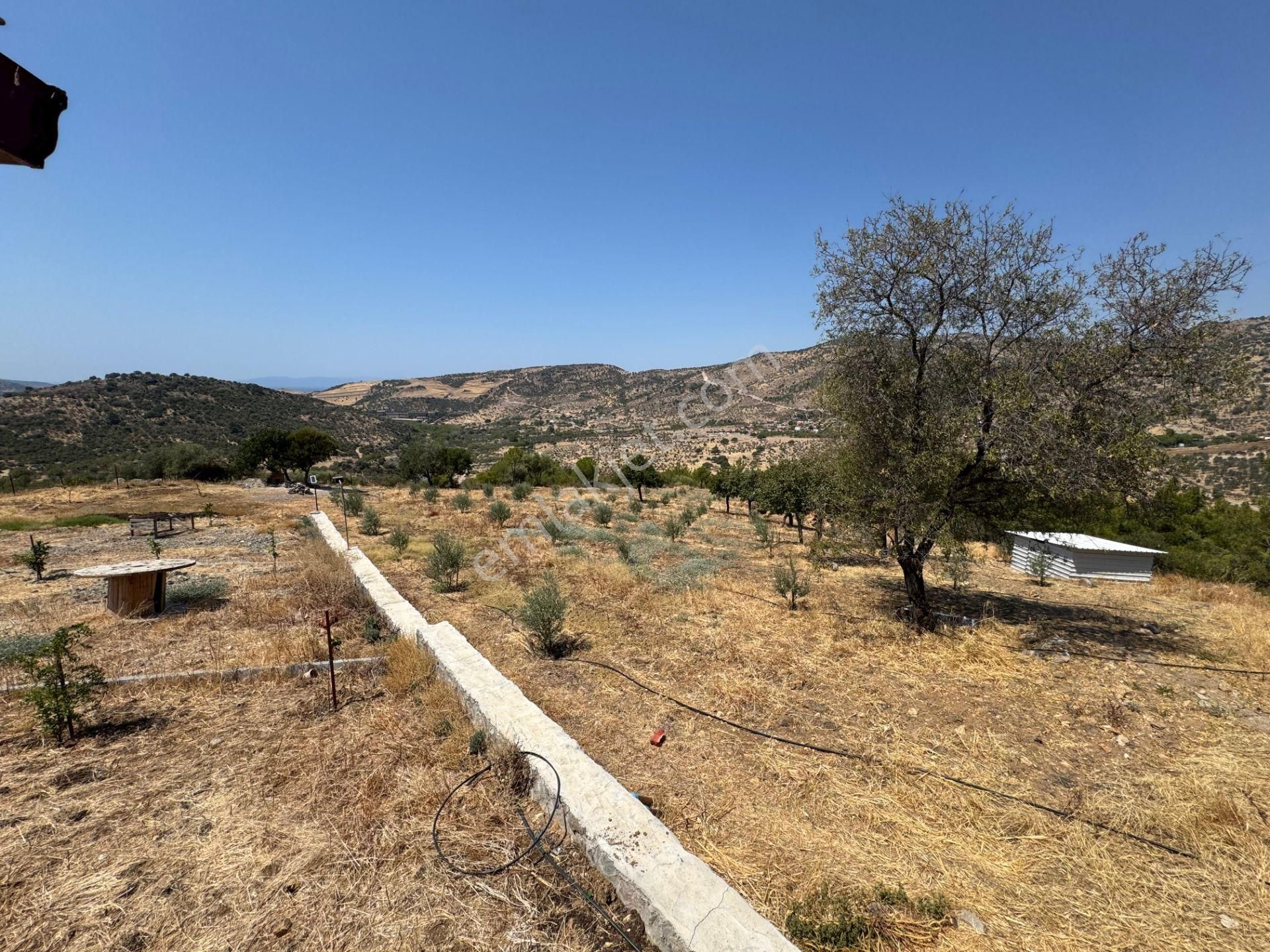 Merkez'den Dikili’de 4 Köye Cepheli, Kuş Bakışı Panoramik + Deniz Manzaralı - Görsel 26