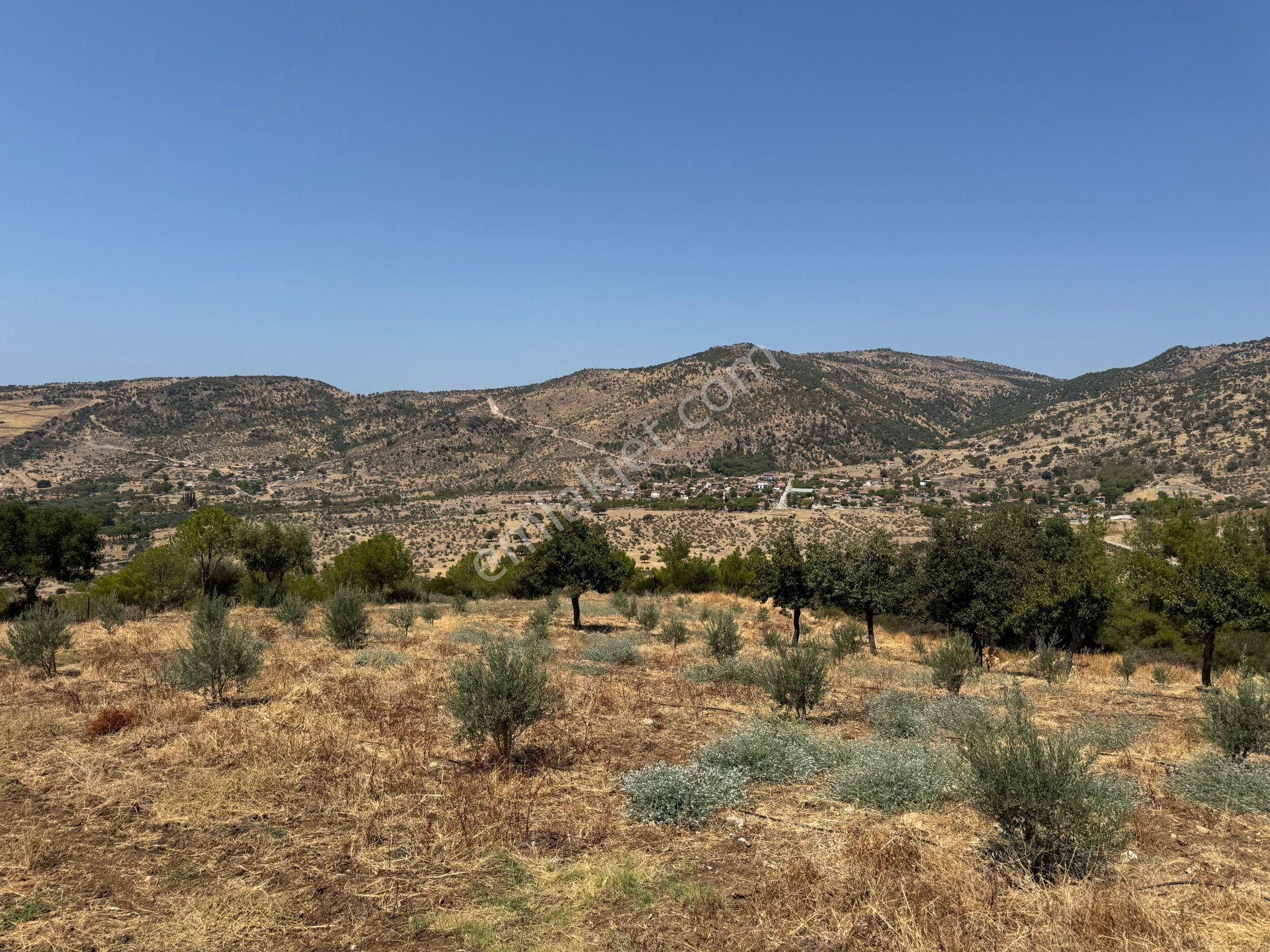 Merkez'den Dikili’de 4 Köye Cepheli, Kuş Bakışı Panoramik + Deniz Manzaralı - Görsel 27