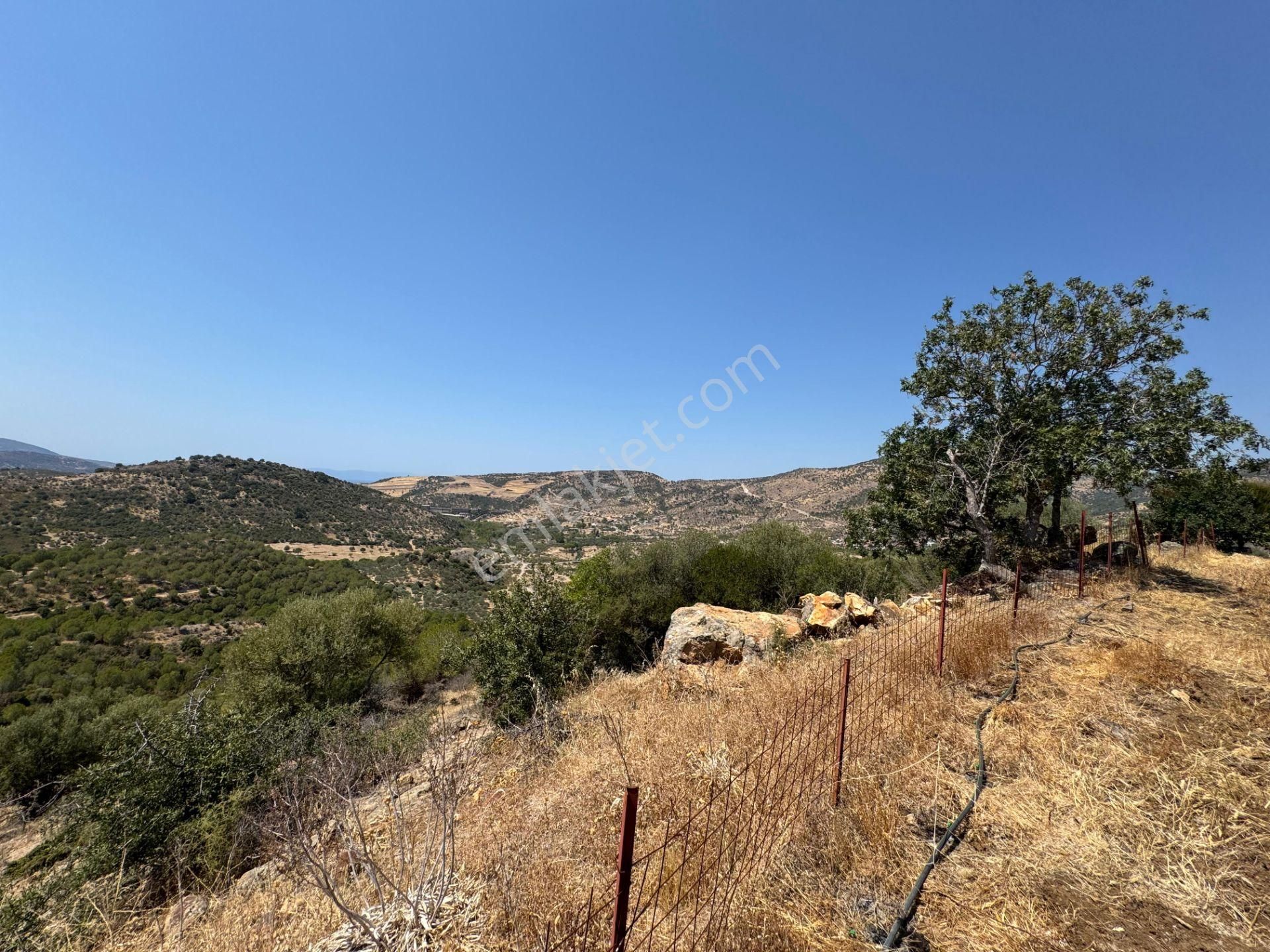 Merkez'den Dikili’de 4 Köye Cepheli, Kuş Bakışı Panoramik + Deniz Manzaralı - Görsel 35