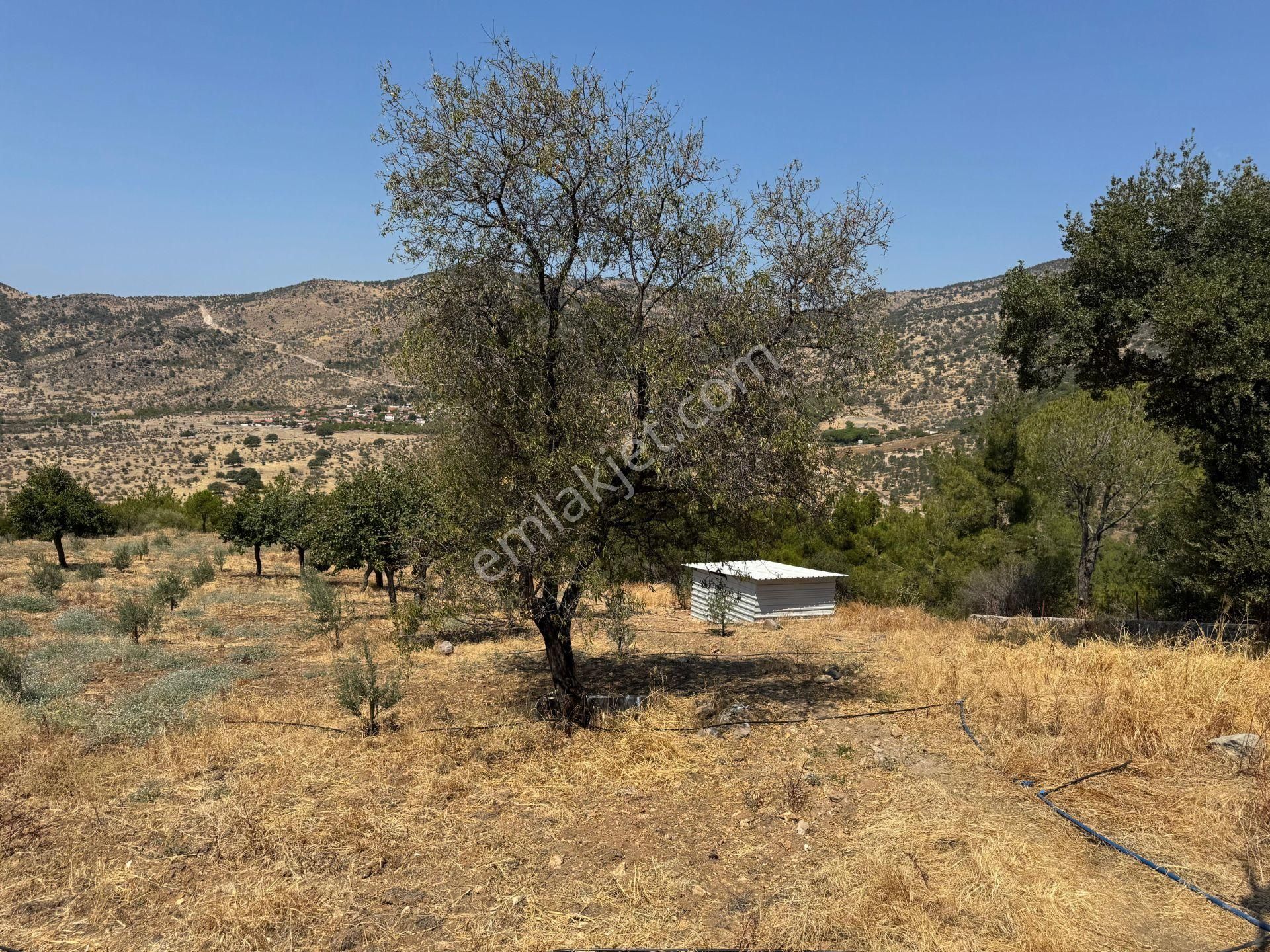 Merkez'den Dikili’de 4 Köye Cepheli, Kuş Bakışı Panoramik + Deniz Manzaralı - Görsel 24