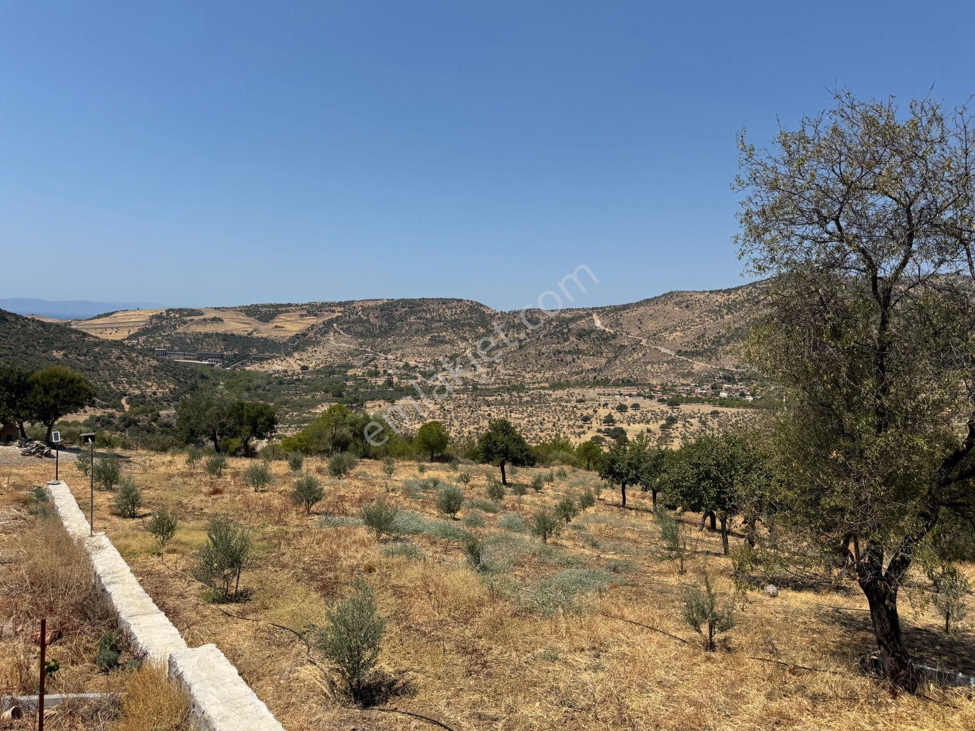 Merkez'den Dikili’de 4 Köye Cepheli, Kuş Bakışı Panoramik + Deniz Manzaralı - Görsel 34