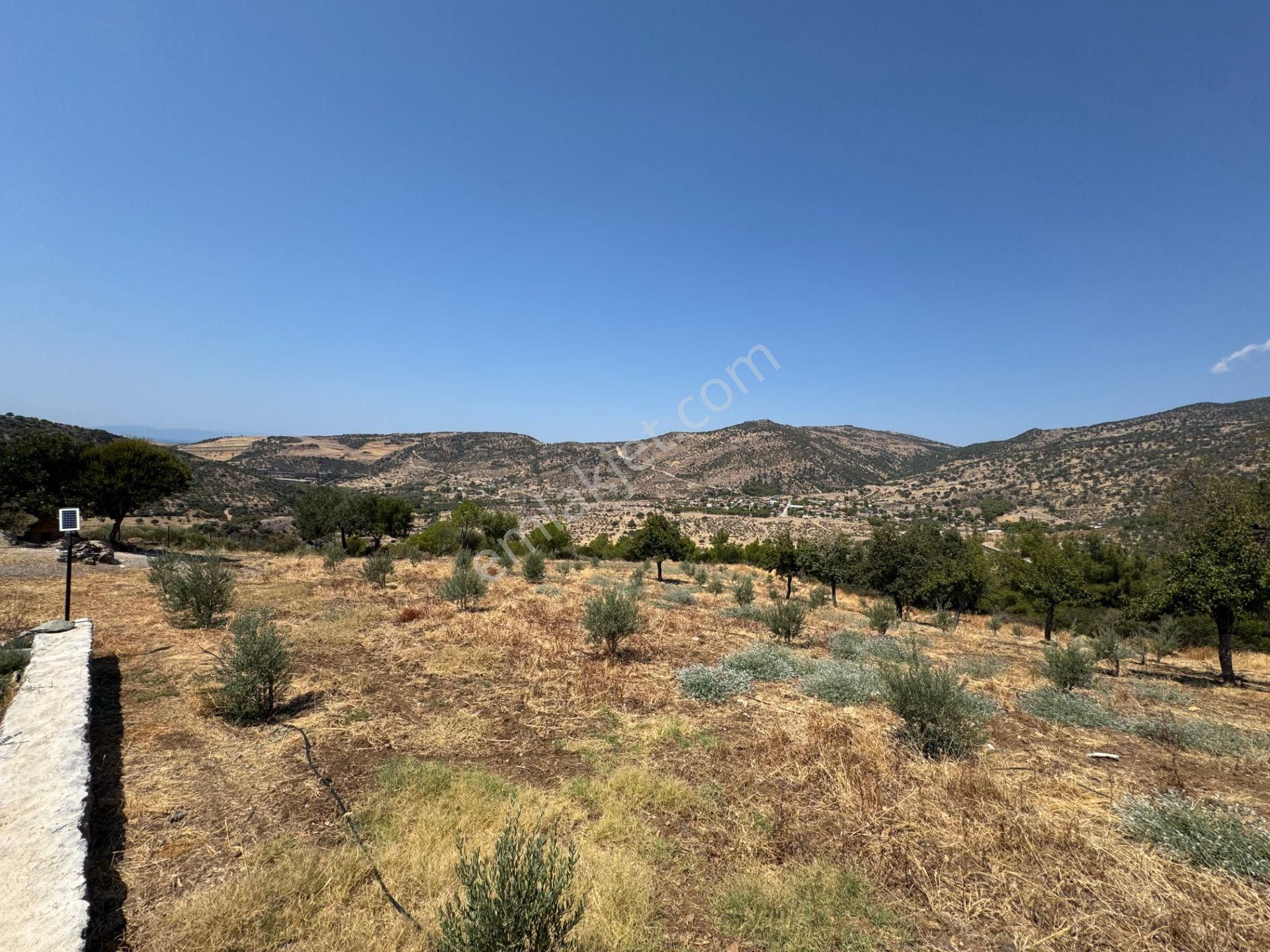 Merkez'den Dikili’de 4 Köye Cepheli, Kuş Bakışı Panoramik + Deniz Manzaralı - Görsel 16