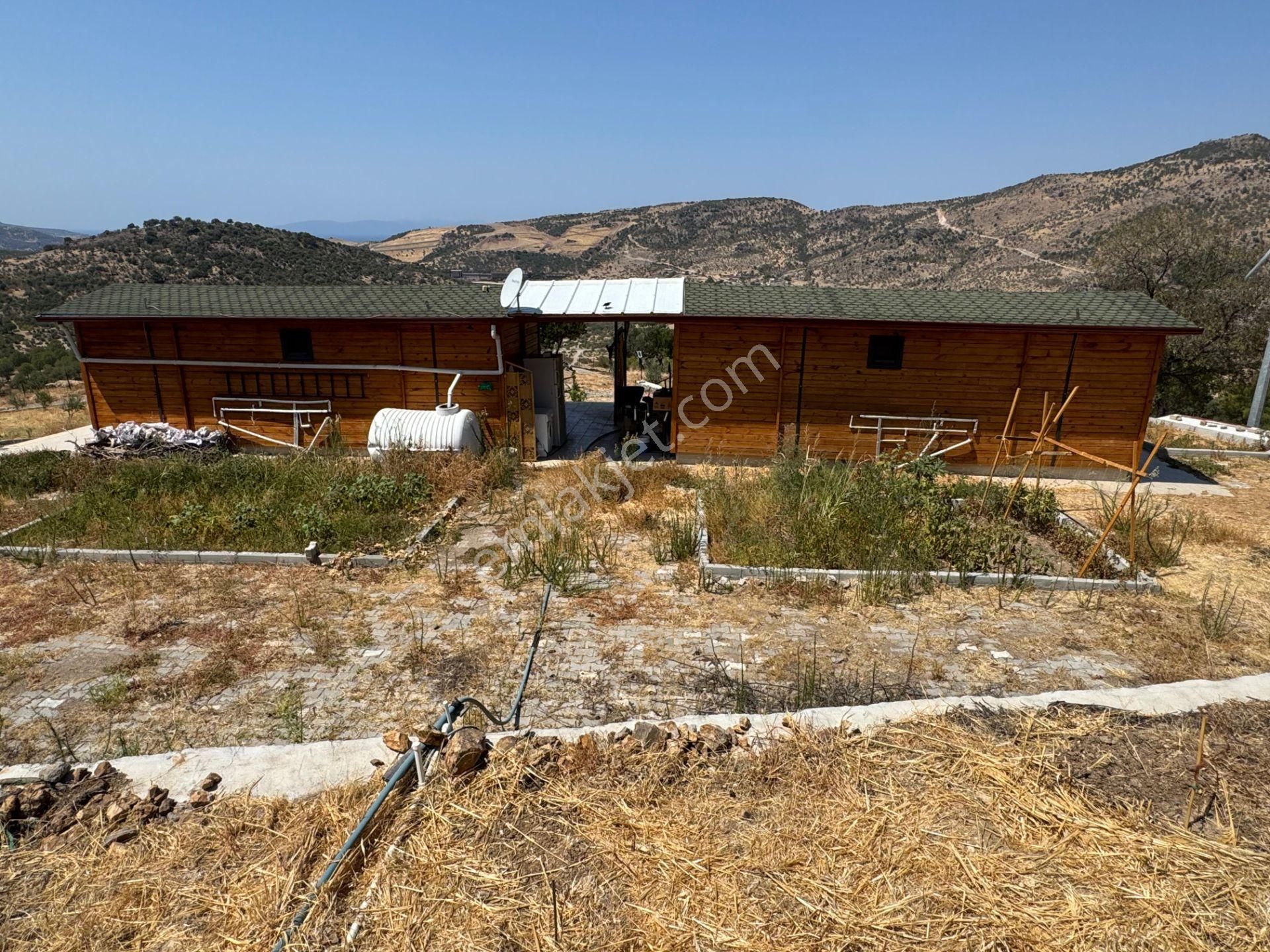 Merkez'den Dikili’de 4 Köye Cepheli, Kuş Bakışı Panoramik + Deniz Manzaralı - Görsel 10