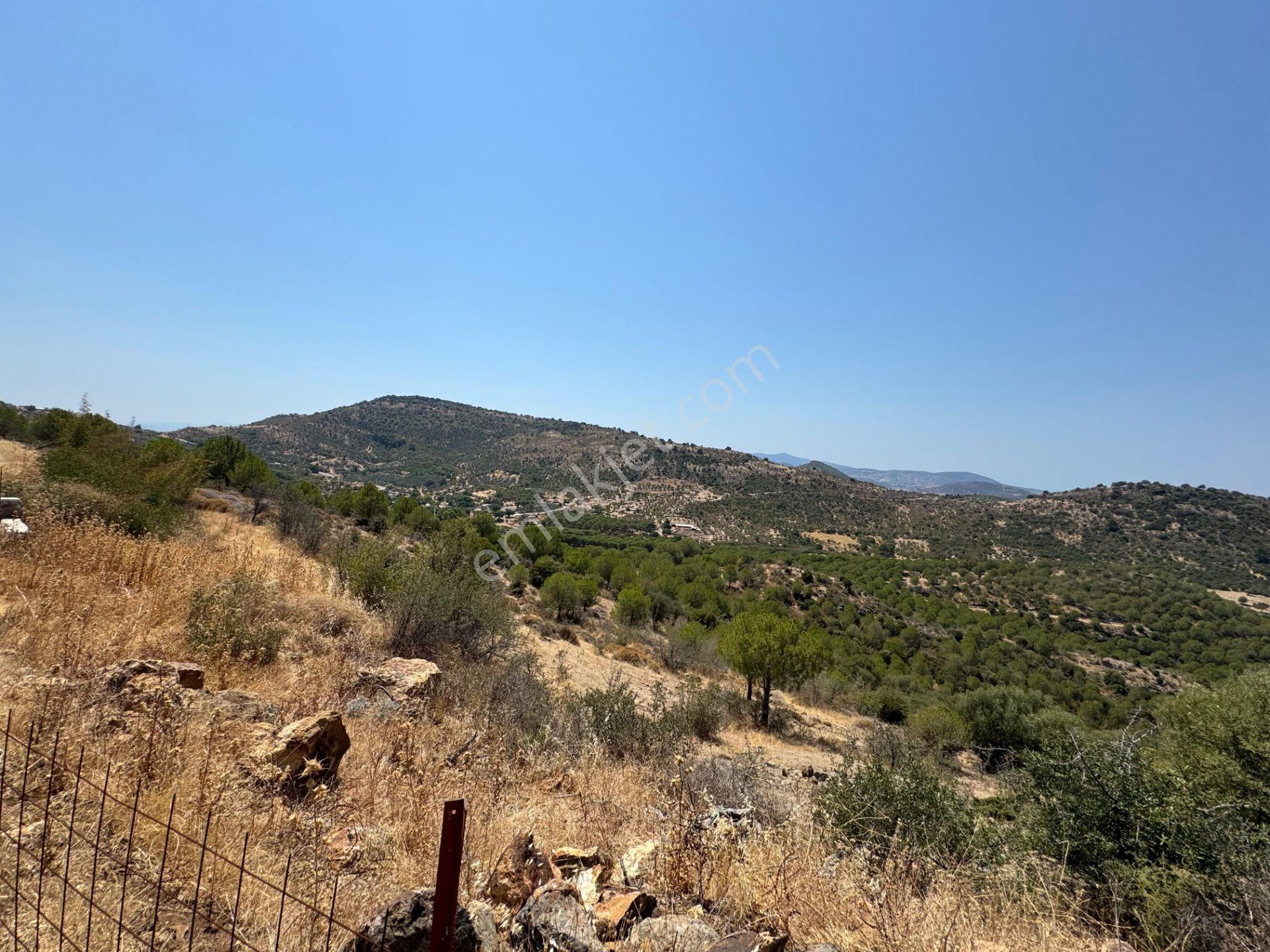 Merkez'den Dikili’de 4 Köye Cepheli, Kuş Bakışı Panoramik + Deniz Manzaralı - Görsel 31