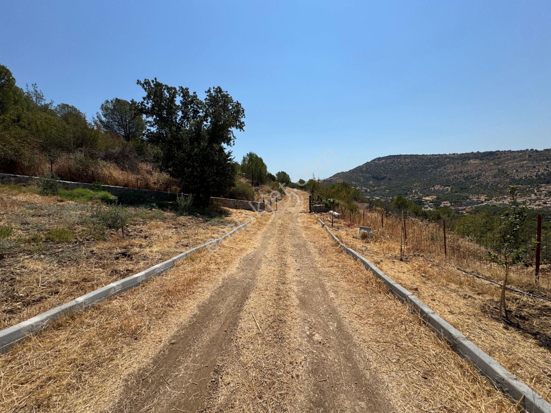 Merkez'den Dikili’de 4 Köye Cepheli, Kuş Bakışı Panoramik + Deniz Manzaralı - Görsel 6