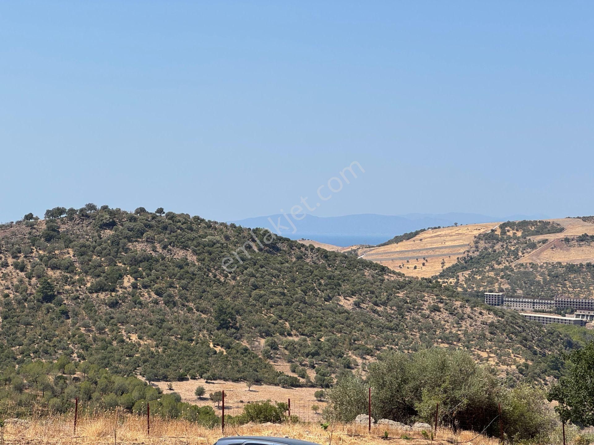 Merkez'den Dikili’de 4 Köye Cepheli, Kuş Bakışı Panoramik + Deniz Manzaralı - Görsel 2