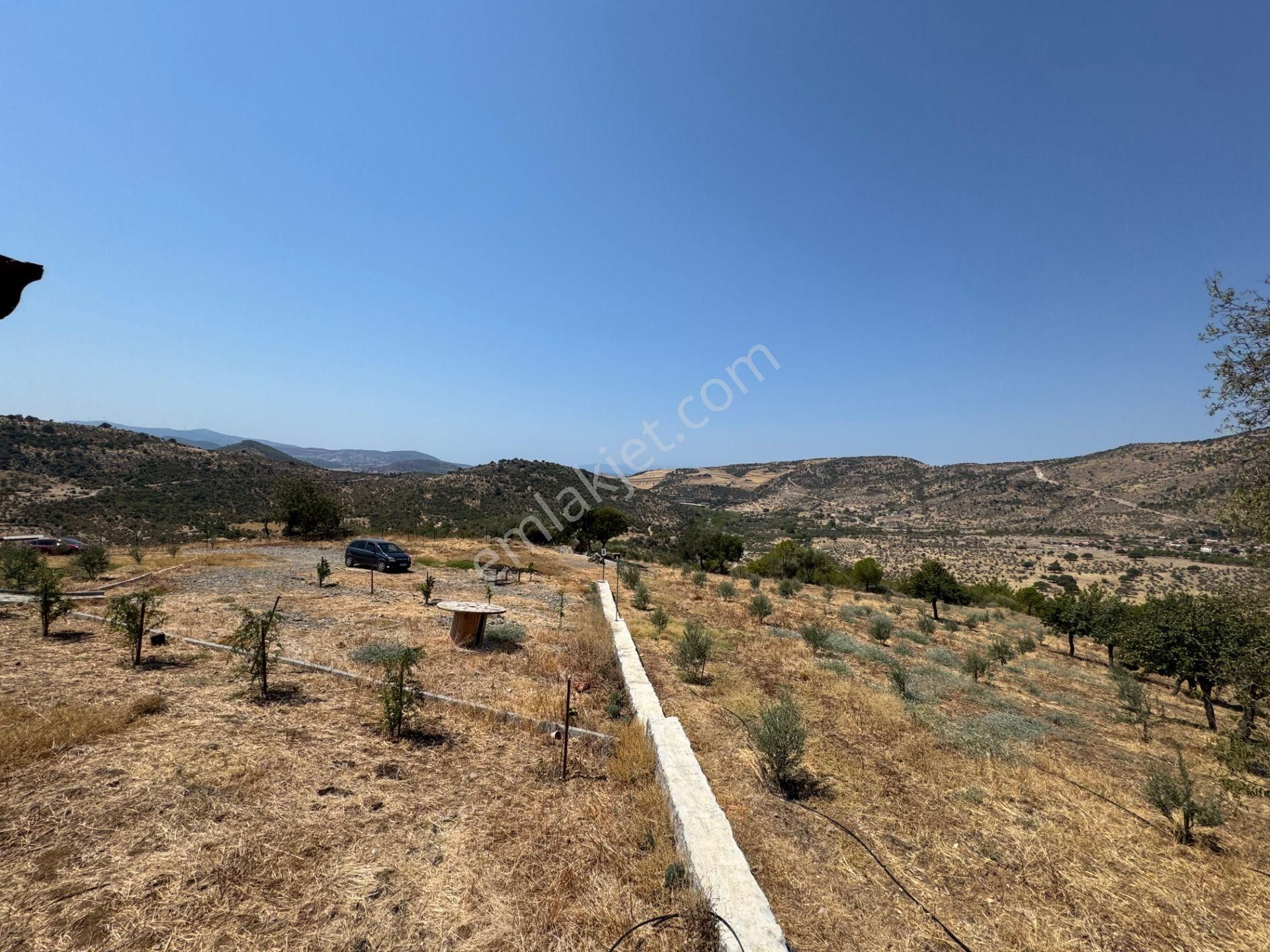 Merkez'den Dikili’de 4 Köye Cepheli, Kuş Bakışı Panoramik + Deniz Manzaralı - Görsel 25