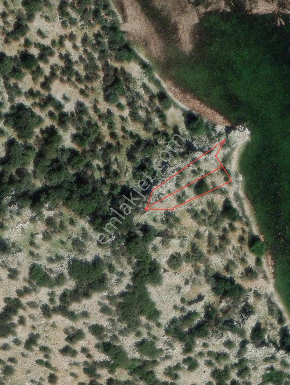 Dost Emlaktan Dalaman Kocagöle Sıfır 1431 M² 2b Vasıflı Tarla - Görsel 9