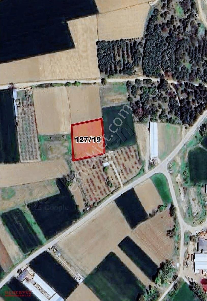 Uçaravcı'dan Şipali Mah. Köye 200m 3300m² Tarla
