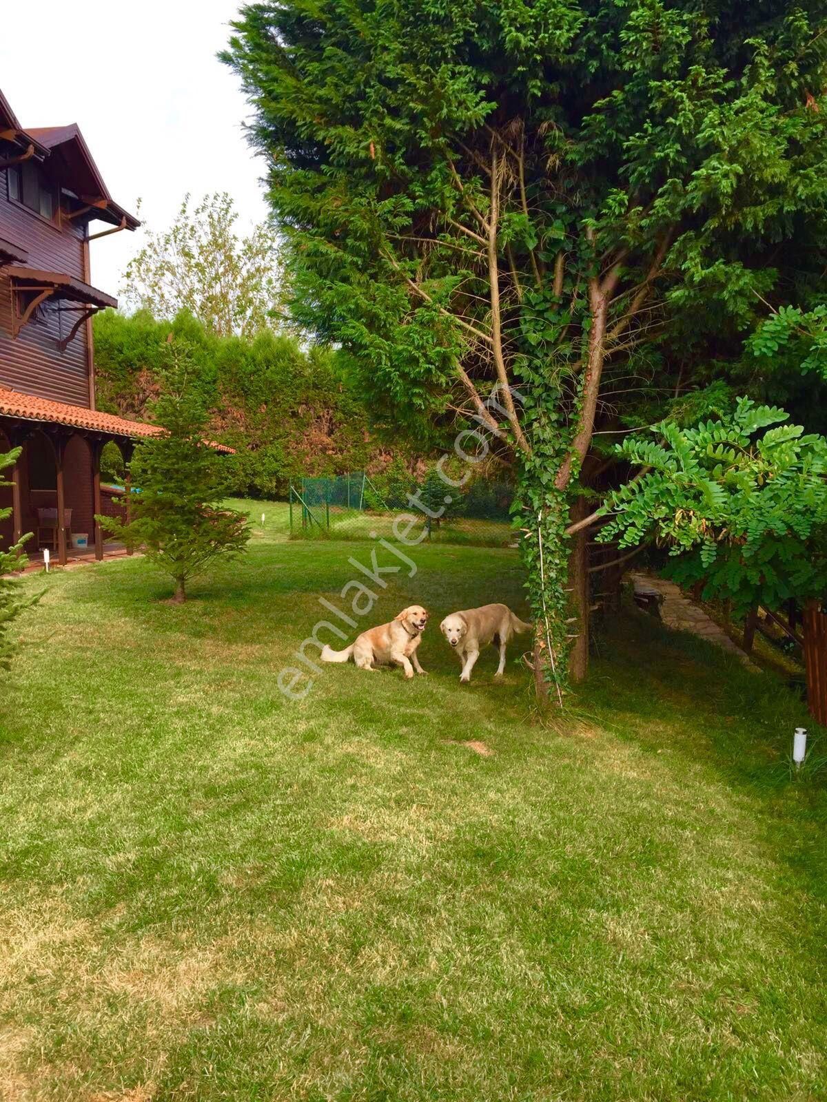 Sapanca Kuruçeşme"de 2355 M2 İçinde Yıllık Kiralık Müstakil Villa... - Görsel 13