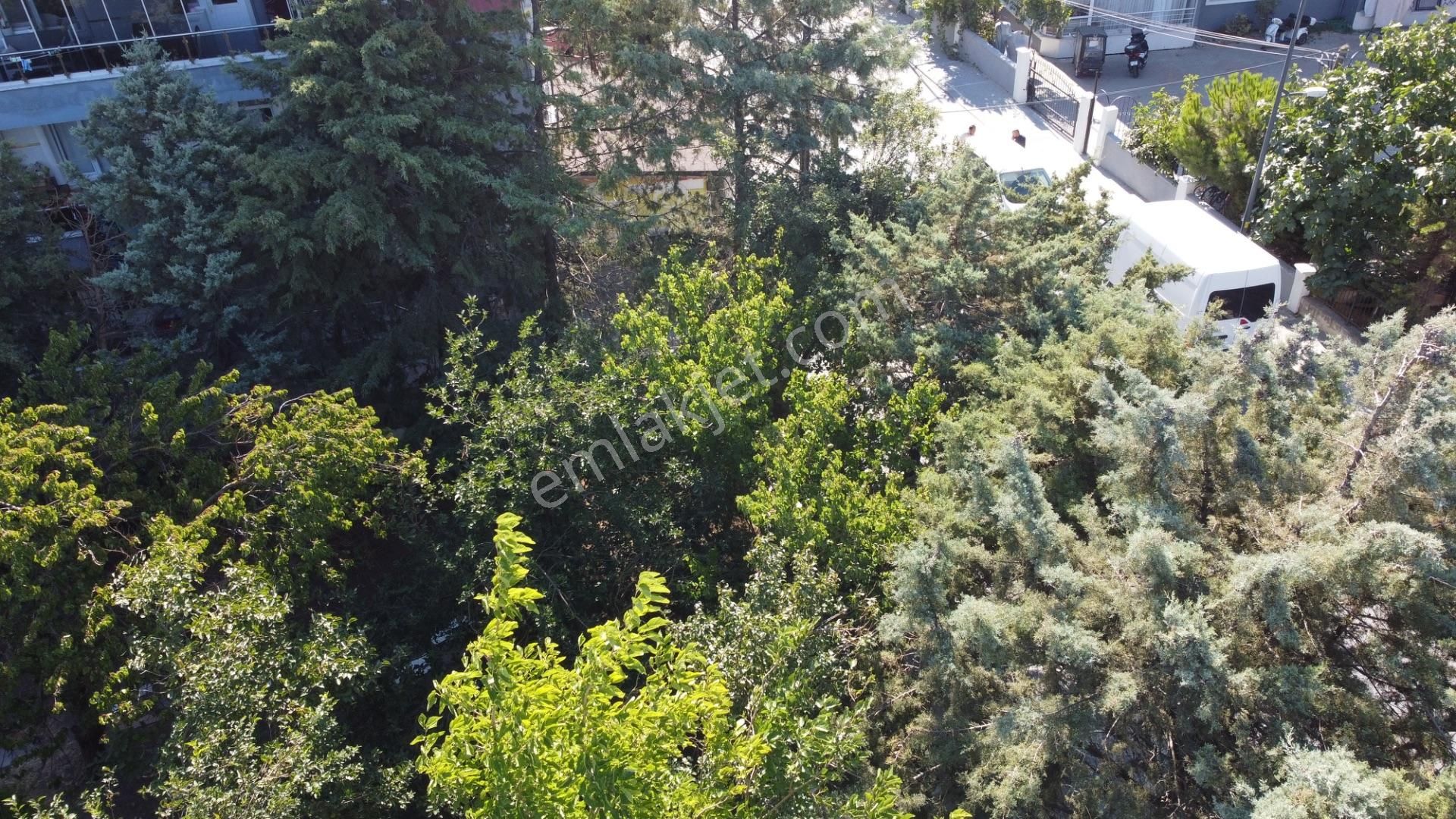 Wisremden Selimpaşa Da Güney Cephe 585 M2 Konut İmarlı Arsa - Görsel 12