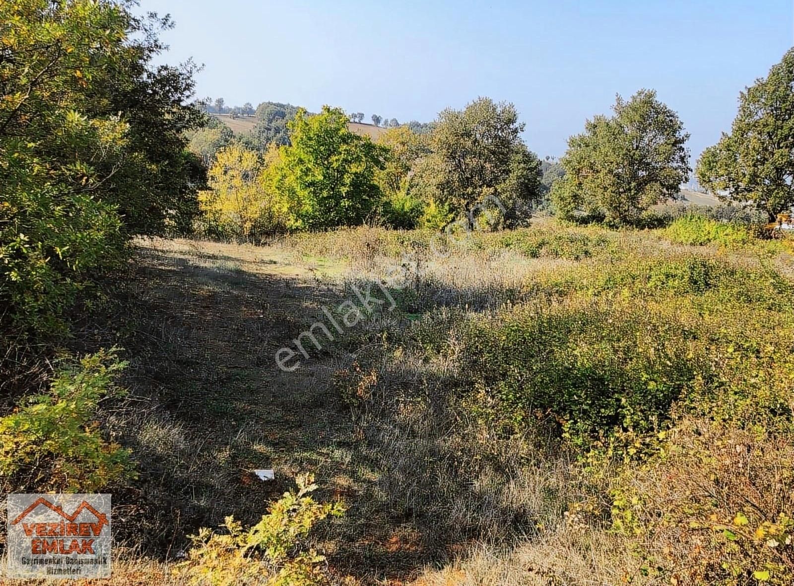 Kızılcaören'de Anayol Yanında 1892m2 Araç Takaslı Satılık Tarla