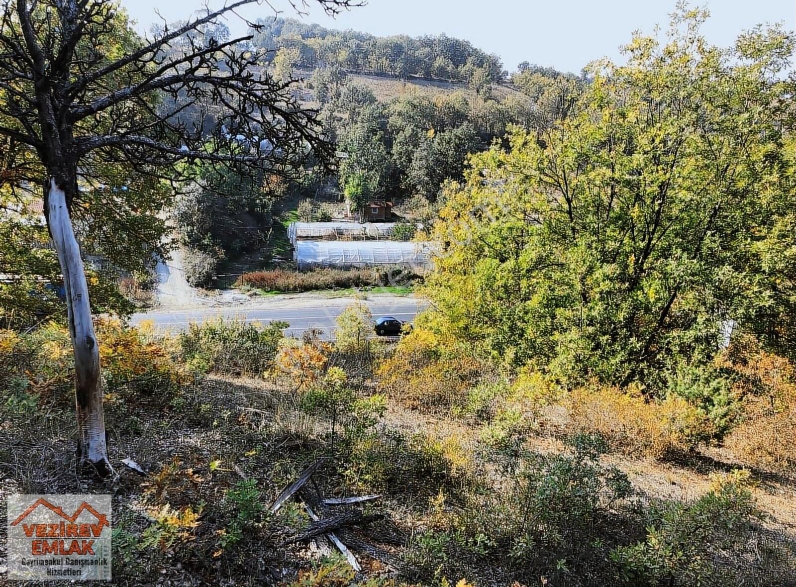 Kızılcaören'de Anayol Yanında 1892m2 Araç Takaslı Satılık Tarla - Görsel 4