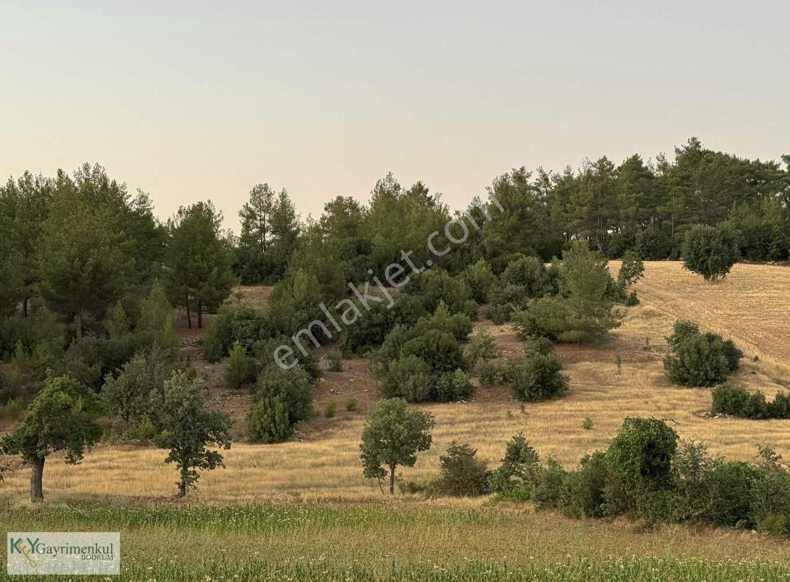 Acil Satılık Köye 400 Metre 7200 M2 Tarla
