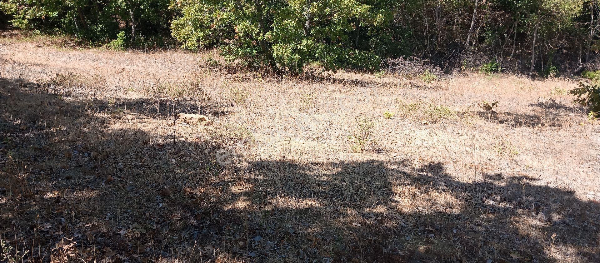 Bursa Yenişehir Mevkiinde Acil Satılık Alt Tarafı Hazine Arazisi - Görsel 14