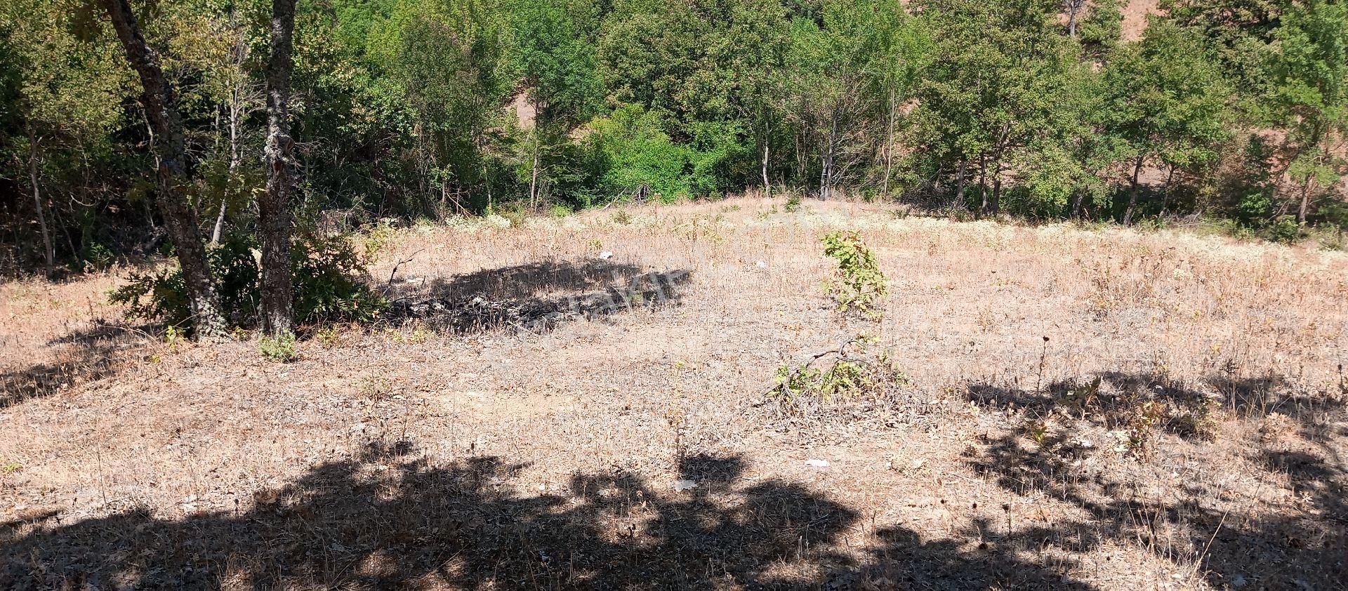 Bursa Yenişehir Mevkiinde Acil Satılık Alt Tarafı Hazine Arazisi - Görsel 16