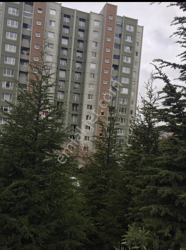 Soyak Olimpiakent 60 M2 Çam Manzaralı Boş Satılık Daire