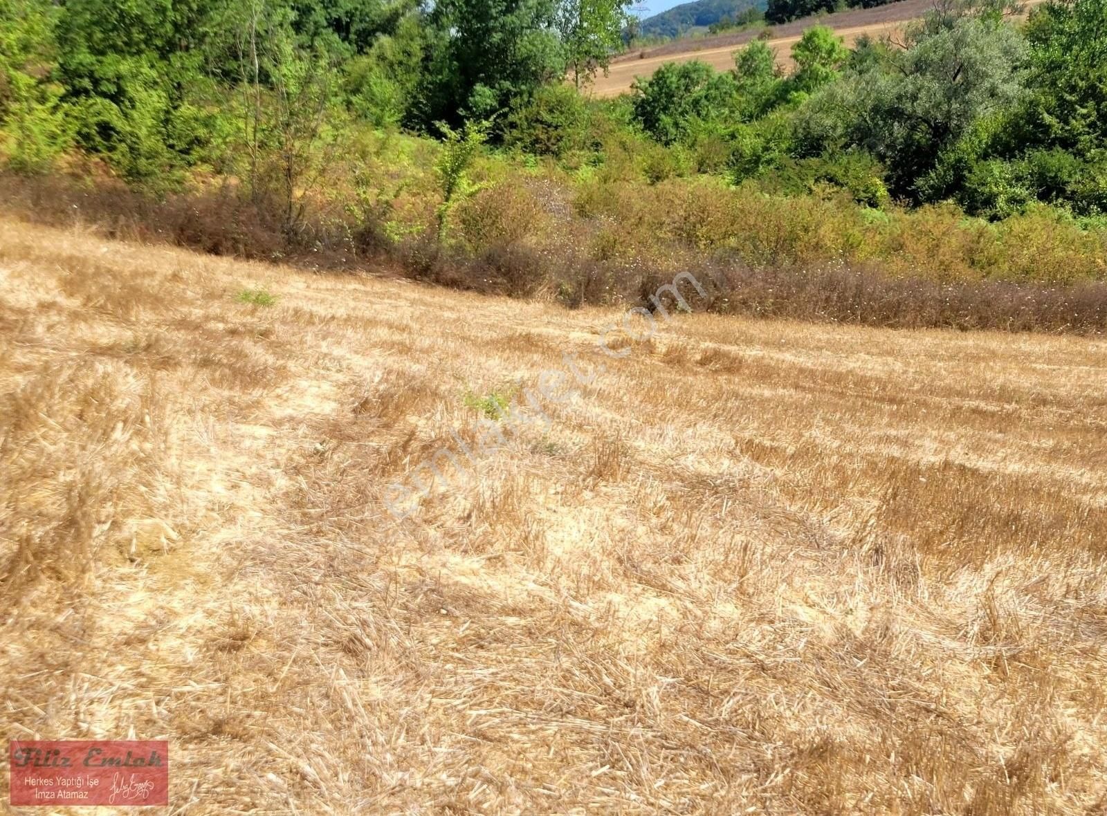 Sanayiye Yakın Kandıra Yoluna Yakın Köye Yakın Fırsat - Görsel 6