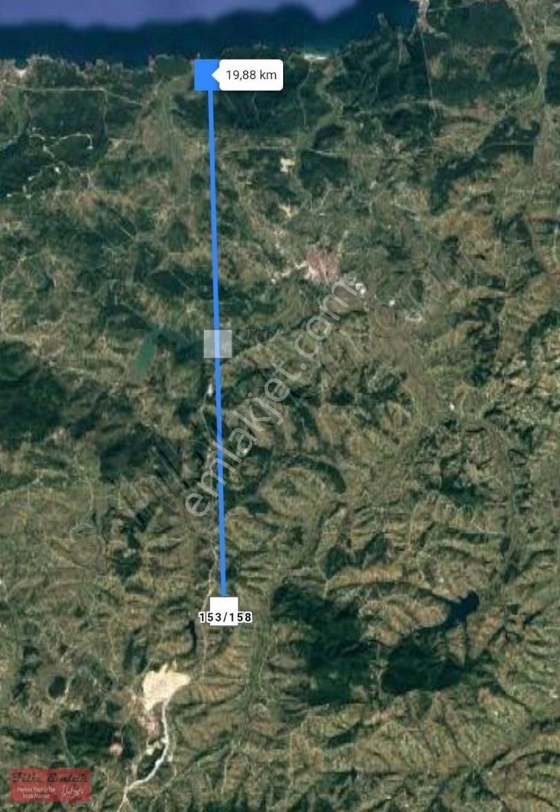 Sanayiye Yakın Kandıra Yoluna Yakın Köye Yakın Fırsat - Görsel 2