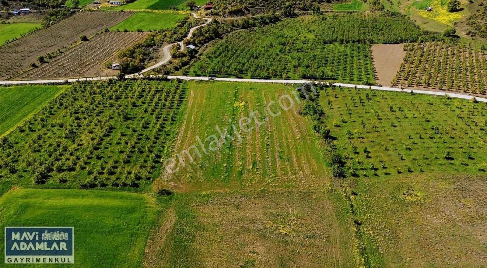 Kestel Gölcük'te 3059 Mt2 Son Hisseli Parsel Asfalt'ta Cephe