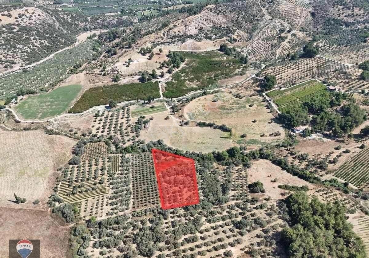 Kuşadası Kirazlıda Satılık 5.383 M2 Tarla - Görsel 5