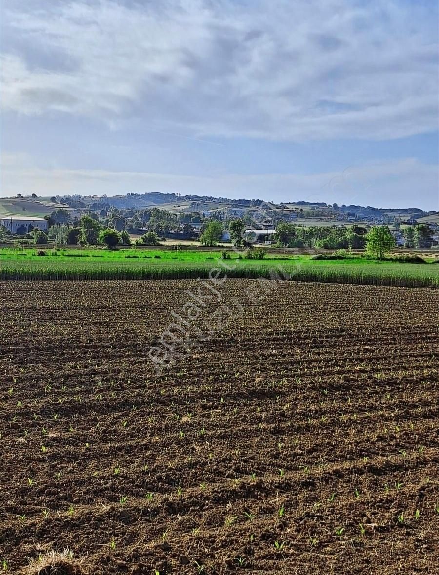 Kandıra Hıdırlar'da 1282 M2 Resmi Yollu Şekli Kare Tarla - Görsel 3