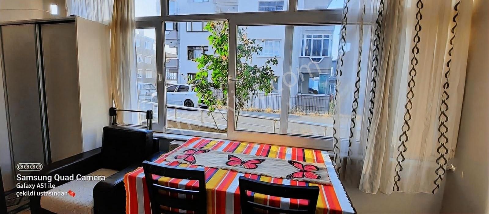 Stüdyo Daire