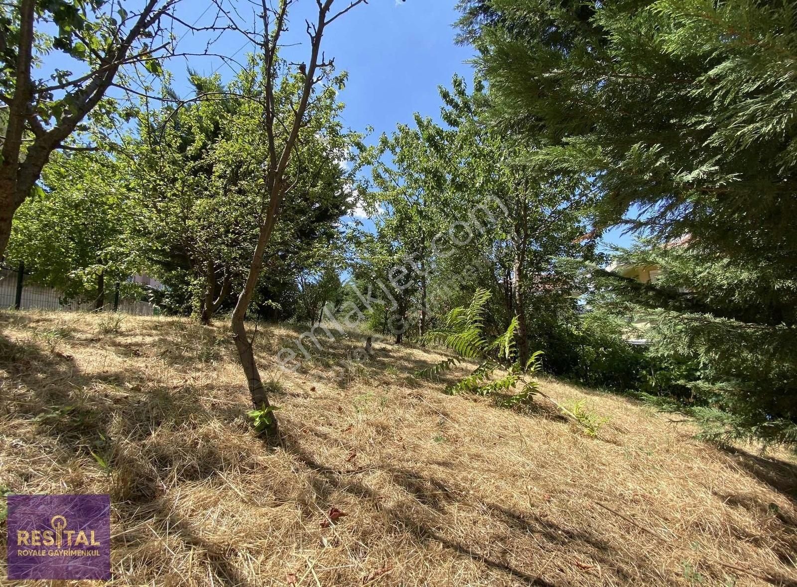 Akçağlayan Toki Konutlarında Kiralık Villa (eşyalı-eşyasız)