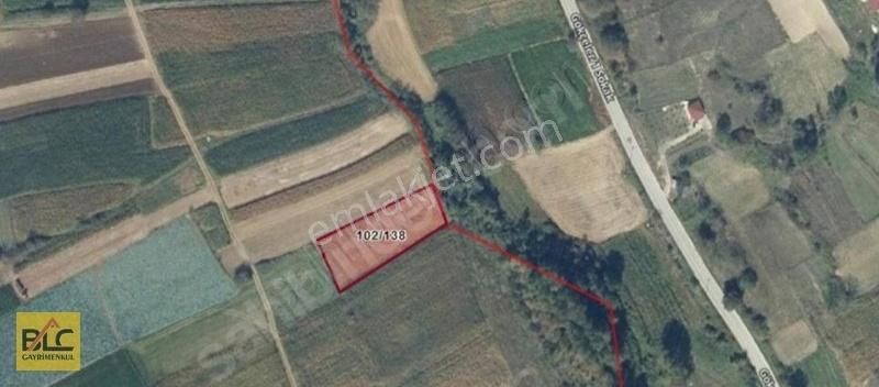 Çok Acilll Satılık 1650m2 Tarla Kandıra Karlı
