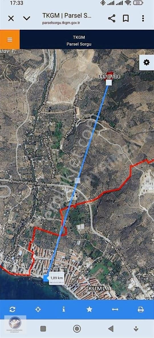 Yakamoz Emlak'tan Büyük Kumla'da Satılık Zeytinlik - Görsel 3