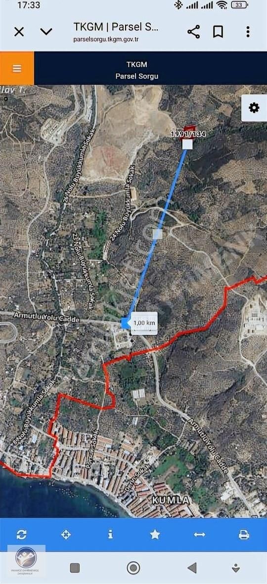 Yakamoz Emlak'tan Büyük Kumla'da Satılık Zeytinlik - Görsel 4