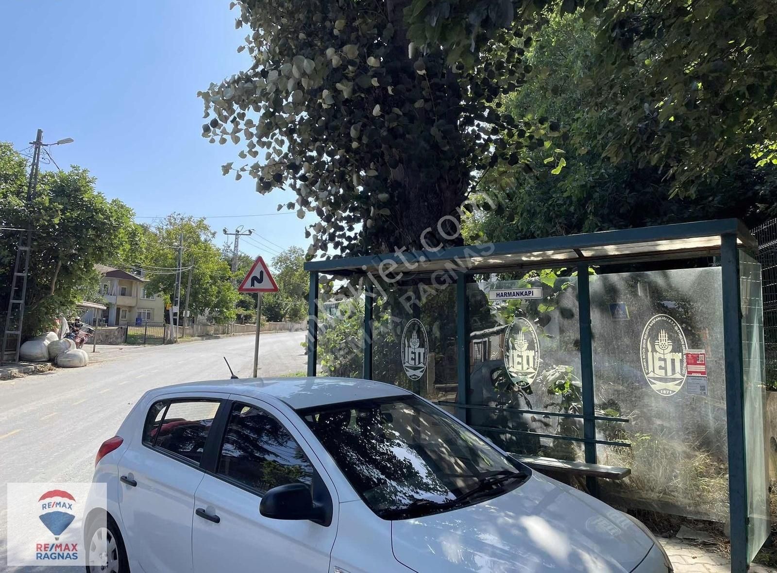 Şile Karakirazda 2484m2 Bahçeli Kiralık 3 Villa - Görsel 14