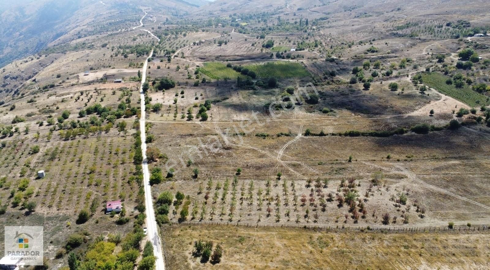 Aydın Nazilli Yaylapınar Mahallesinde Satılık 10140 M² Bahçe - Görsel 5