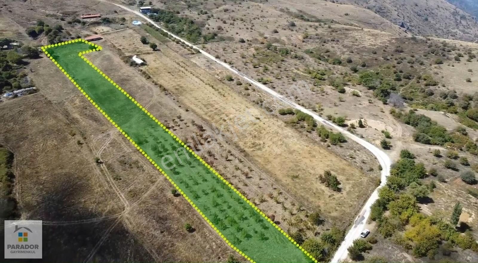 Aydın Nazilli Yaylapınar Mahallesinde Satılık 10140 M² Bahçe - Görsel 10