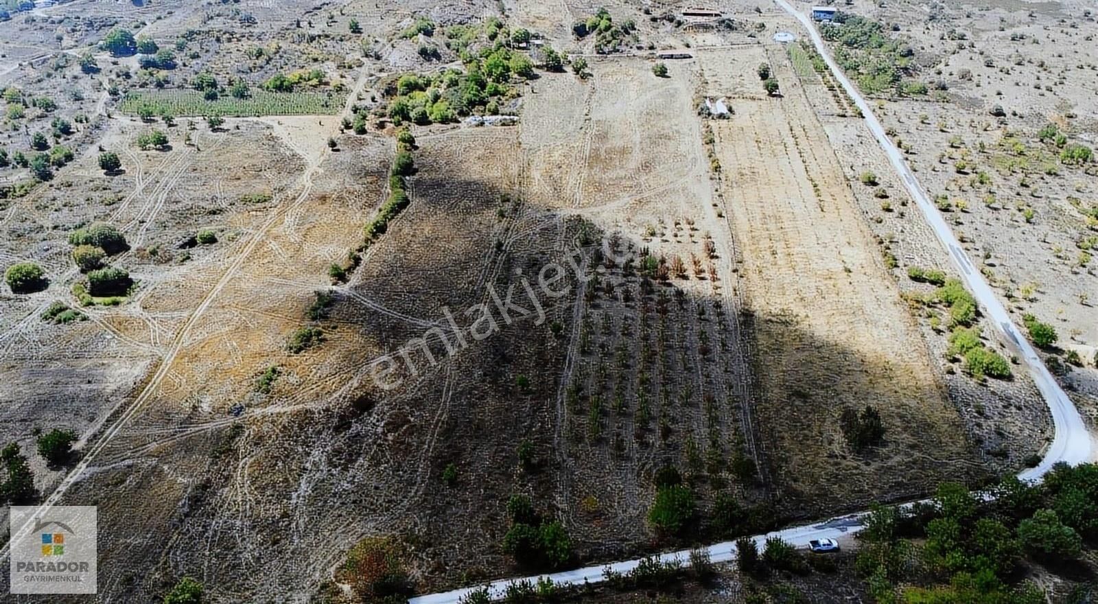 Aydın Nazilli Yaylapınar Mahallesinde Satılık 10140 M² Bahçe - Görsel 2