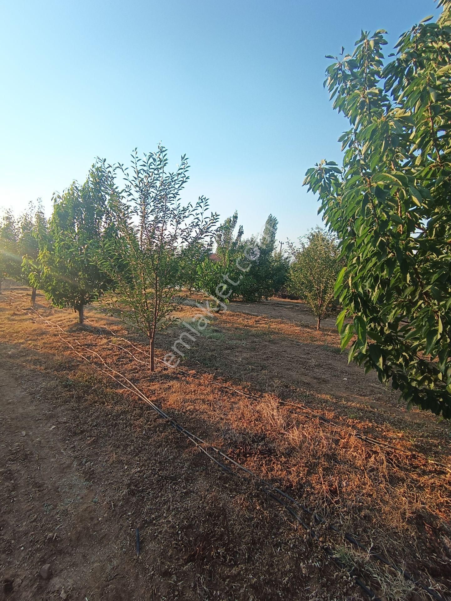 Hilal Emlak'tan Satılık Bahçe - Görsel 8