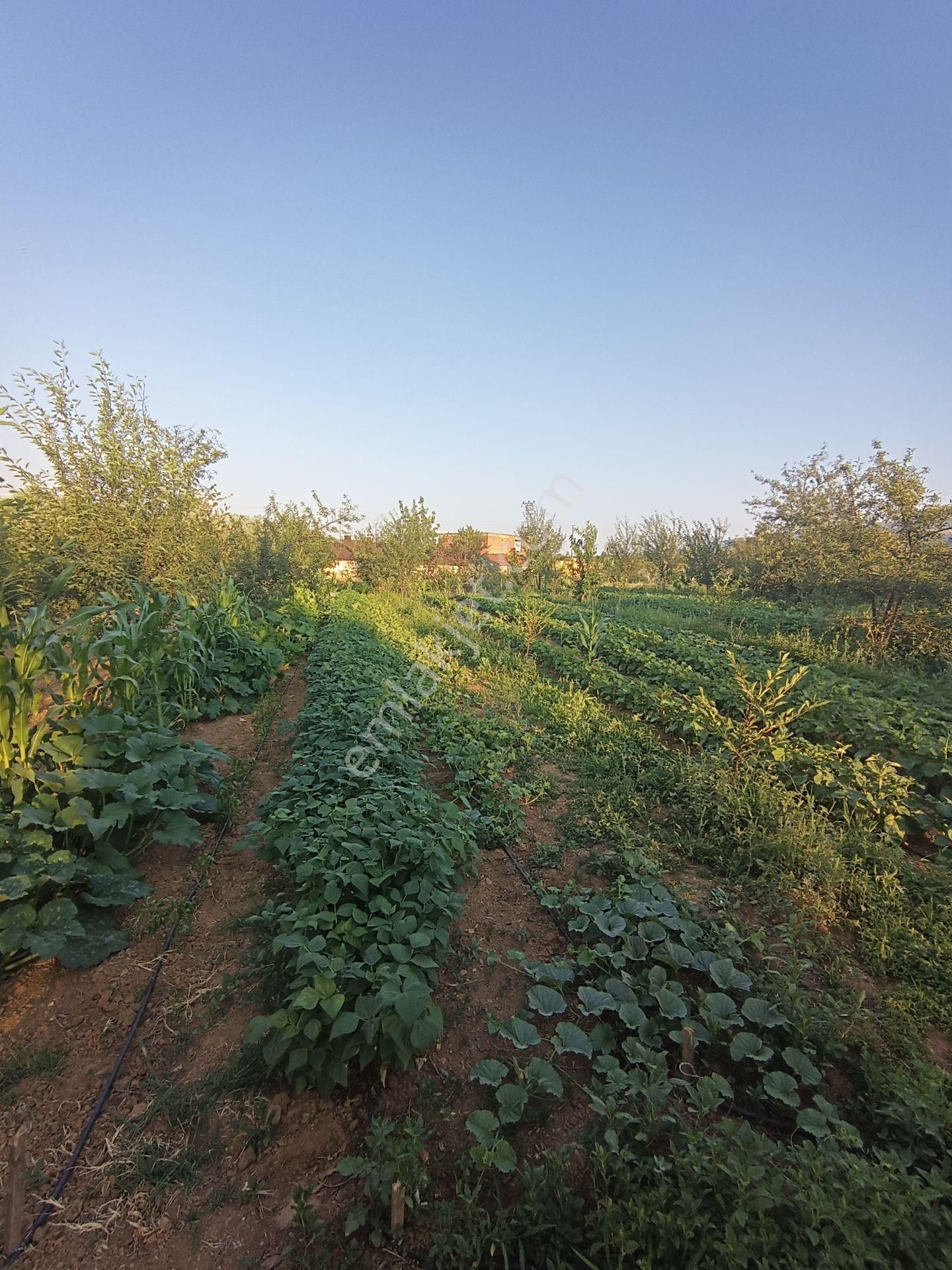 Hilal Emlak'tan Satılık Bahçe - Görsel 5