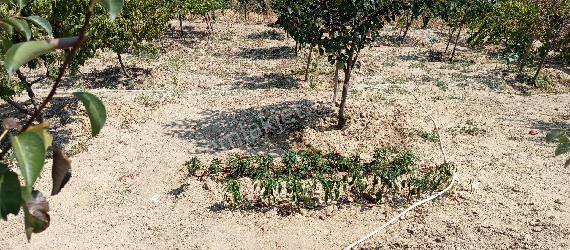 Bursa Nilüfer Konaklı Mahallesi Satılık 70 Mt2 Ev 630mt Bahçesi - Görsel 35