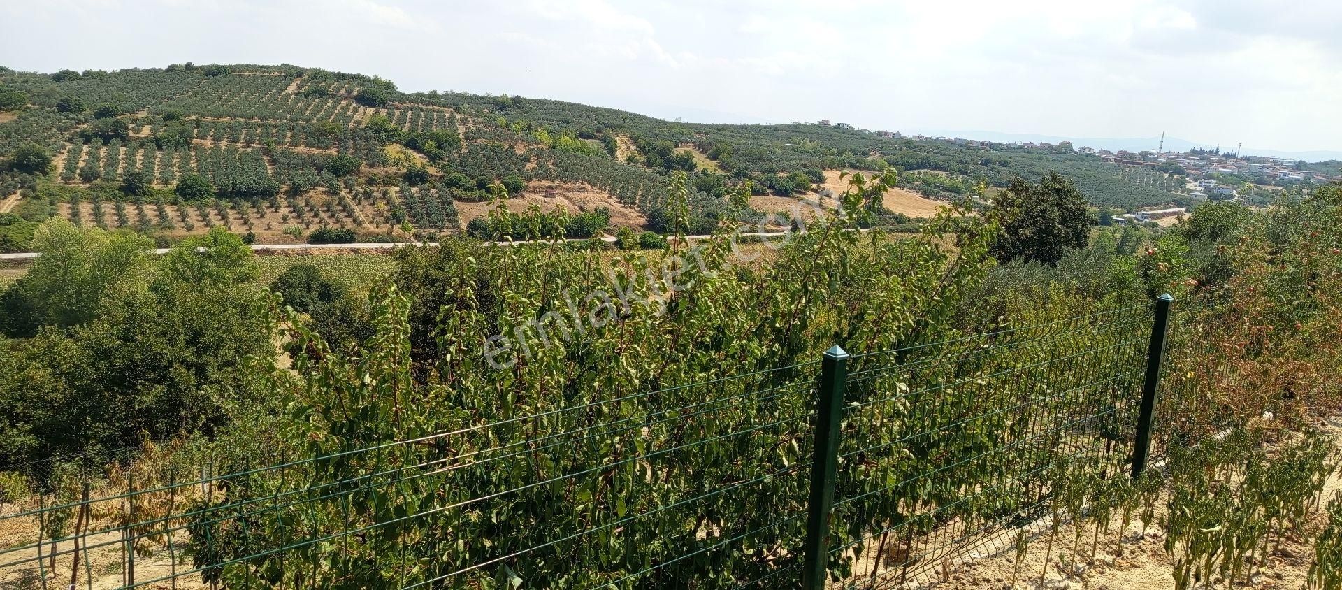 Bursa Nilüfer Konaklı Mahallesi Satılık 70 Mt2 Ev 630mt Bahçesi - Görsel 29