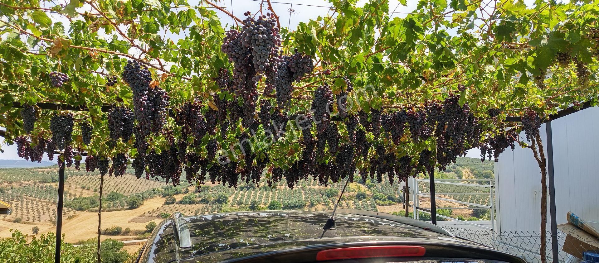 Bursa Nilüfer Konaklı Mahallesi Satılık 70 Mt2 Ev 630mt Bahçesi - Görsel 24