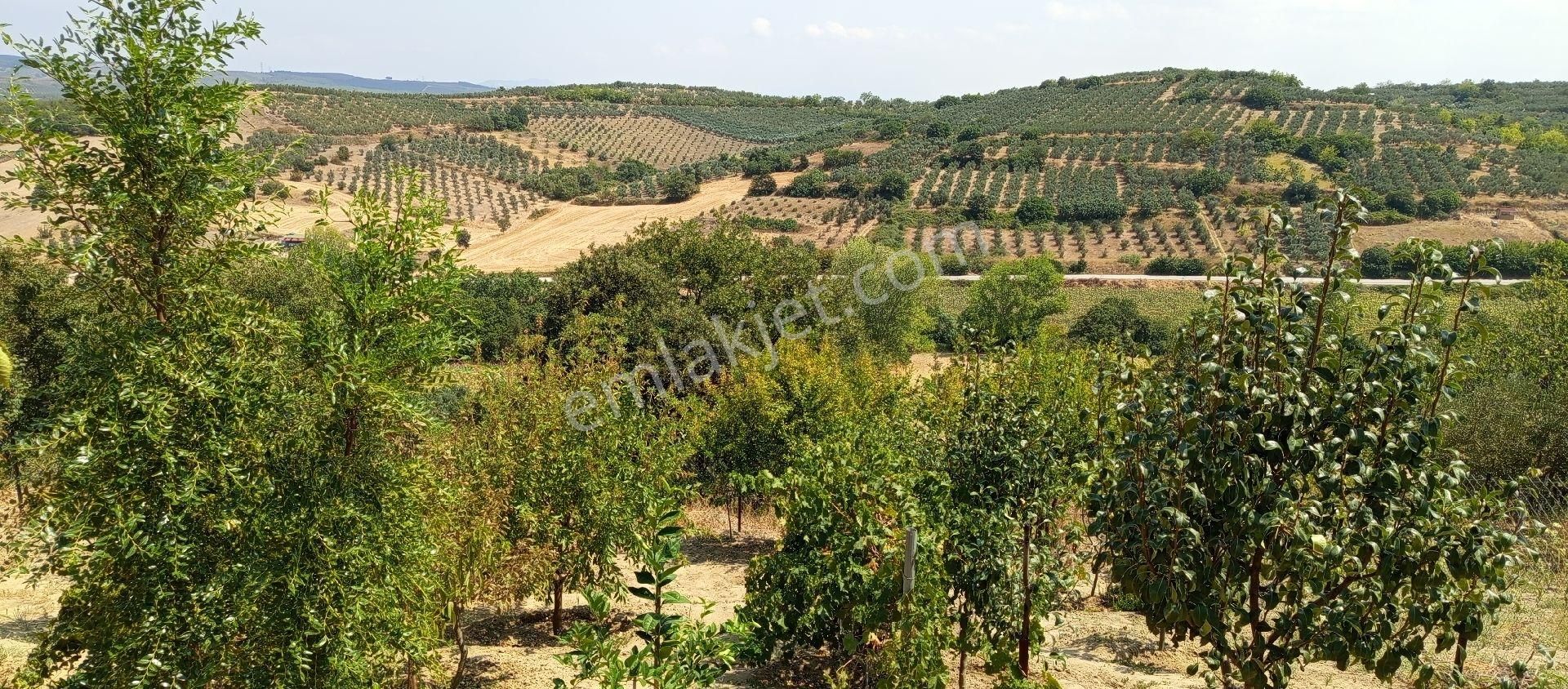 Bursa Nilüfer Konaklı Mahallesi Satılık 70 Mt2 Ev 630mt Bahçesi - Görsel 34