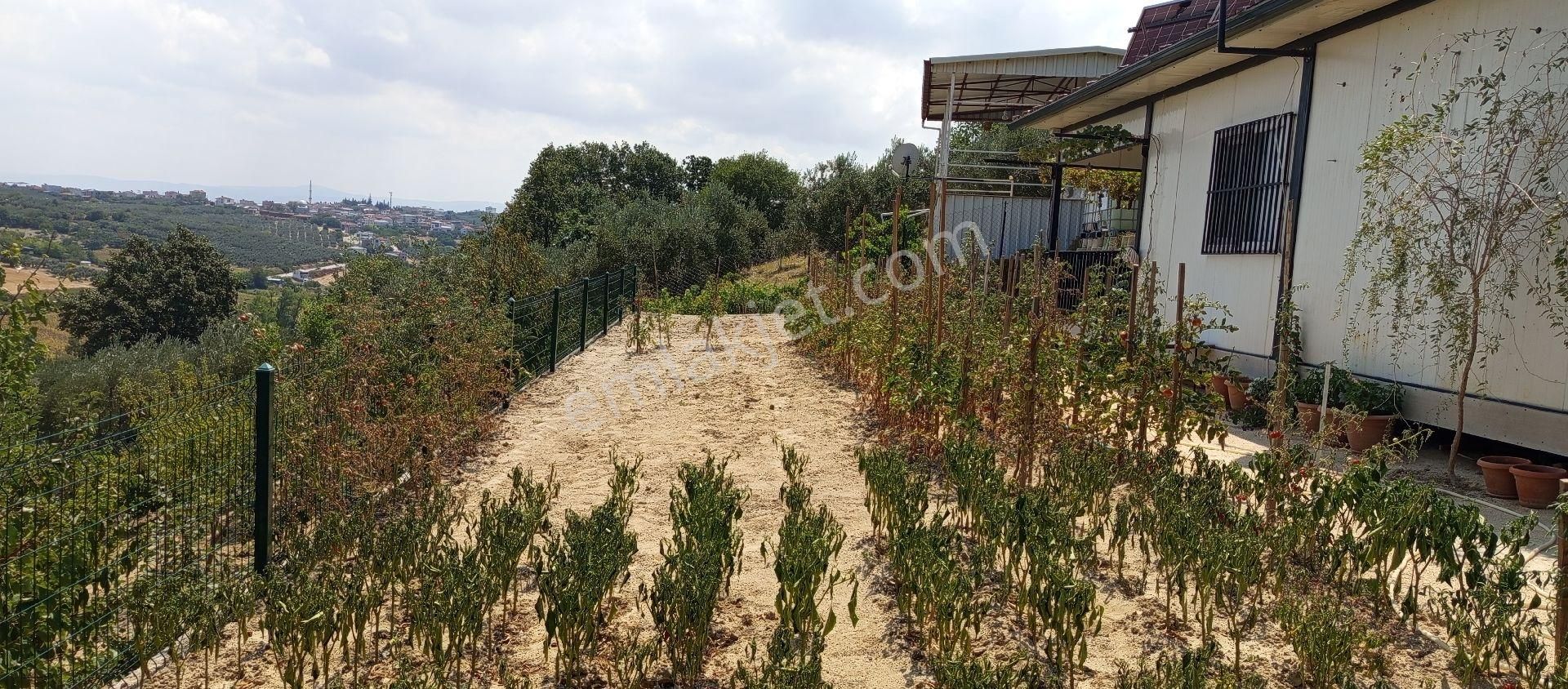 Bursa Nilüfer Konaklı Mahallesi Satılık 70 Mt2 Ev 630mt Bahçesi - Görsel 27