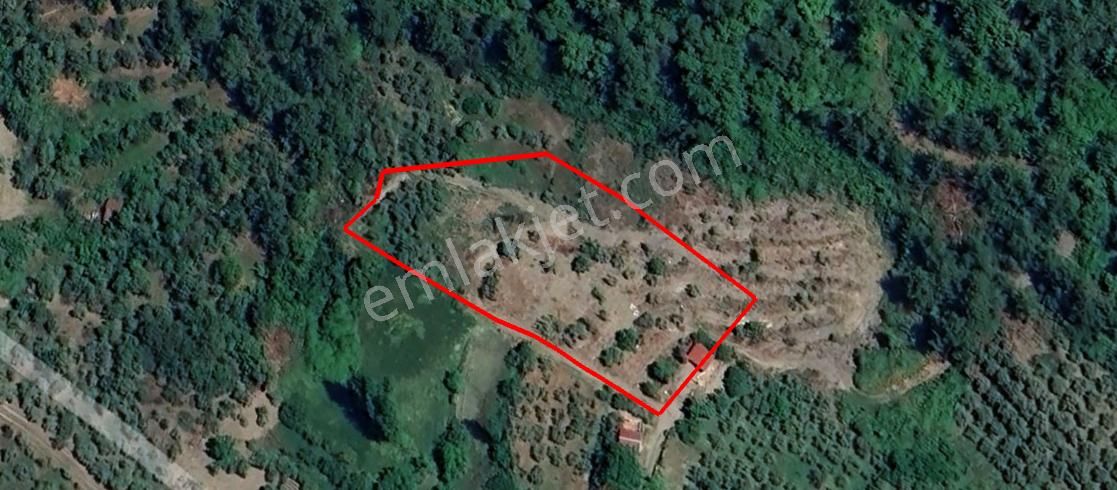 Dost Emlak'tan Gürleyik'te 4240 M² Satılık Tarla