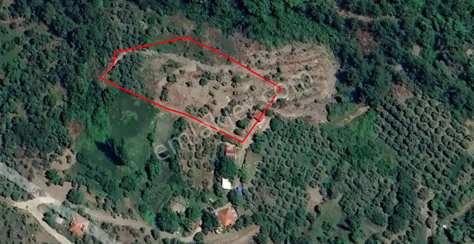 Dost Emlak'tan Gürleyik'te 4240 M² Satılık Tarla - Görsel 4