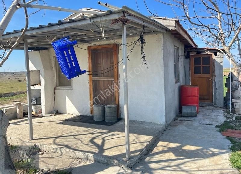 Çanakkale Ezine Mahmudiyede Bağ Evi Olan Satılık Ceviz Bahçesi