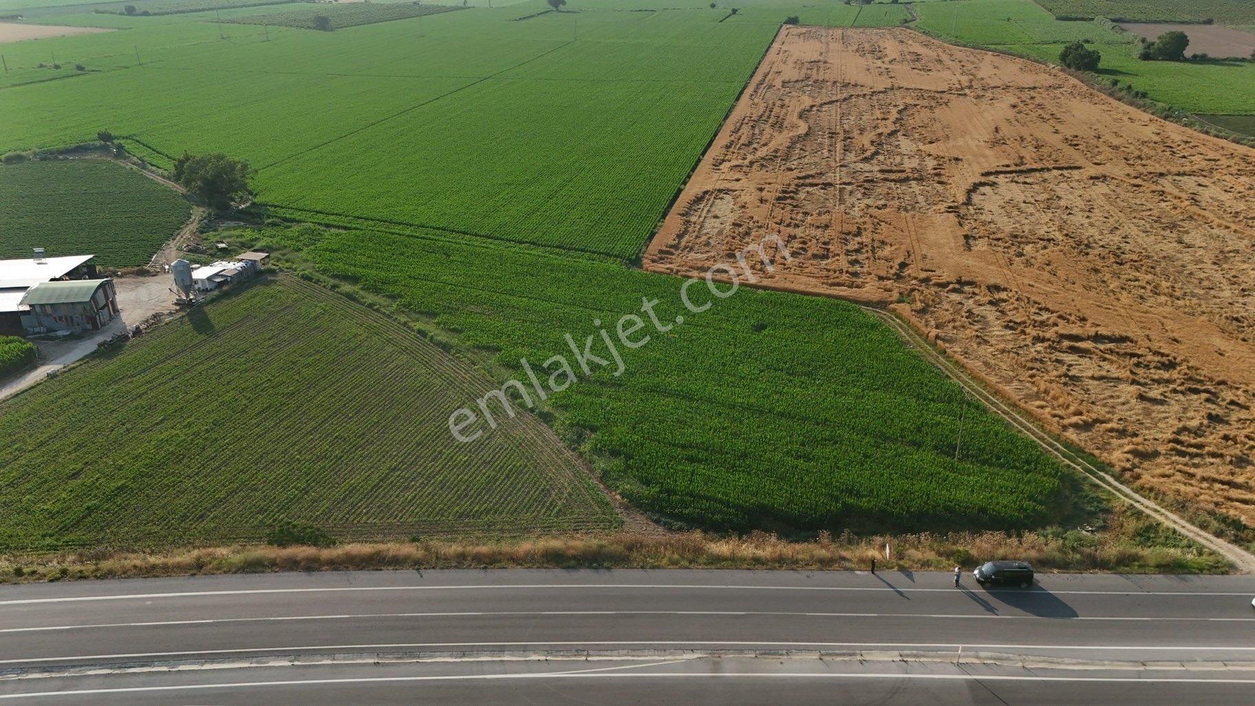 Pek Emlaktan Selçuk Asfaltı 50 Metre Cepheli 7500 M2 Ev Yapmaya Müsait Satılık Bahçe - Görsel 3