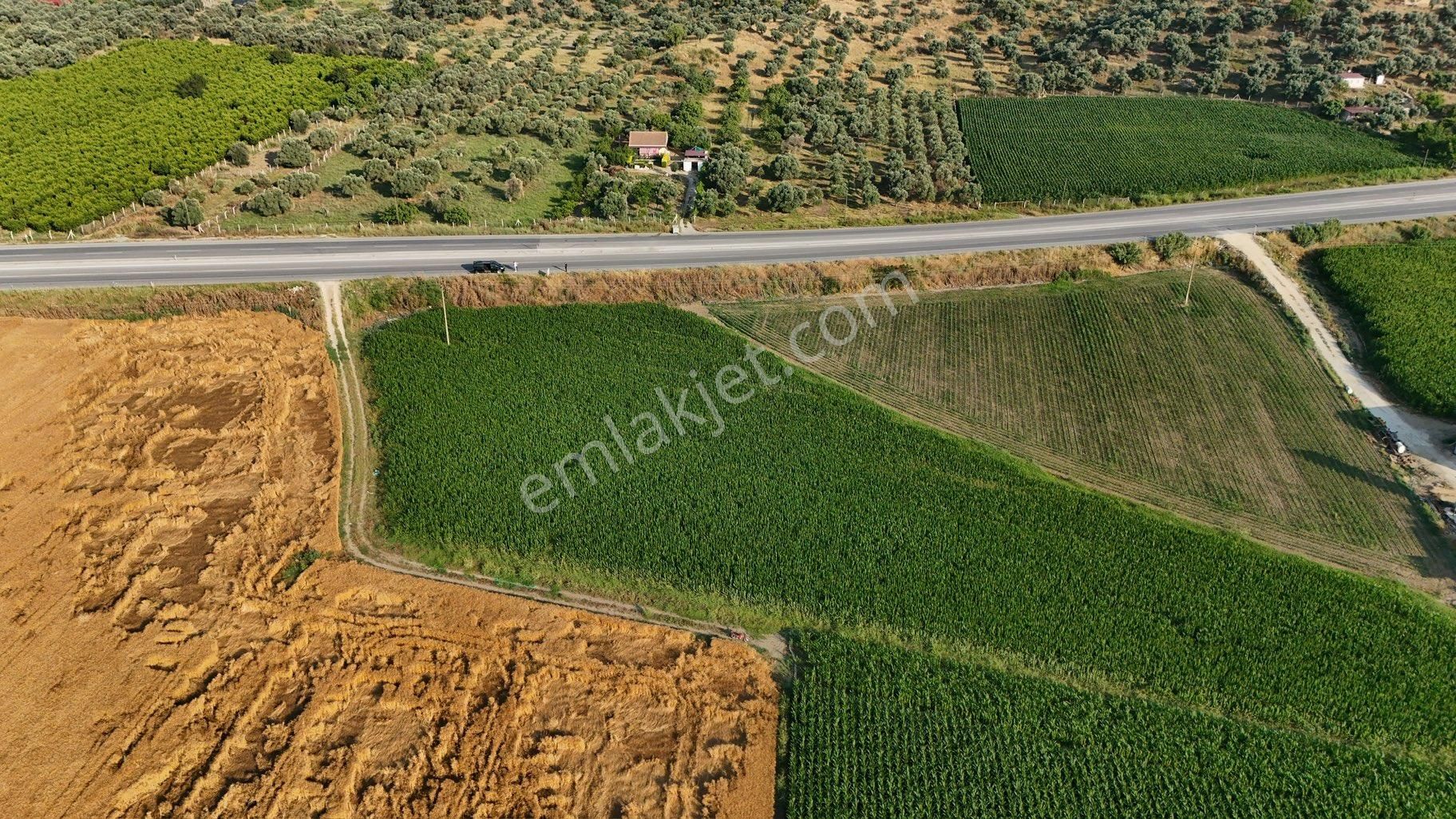 Pek Emlaktan Selçuk Asfaltı 50 Metre Cepheli 7500 M2 Ev Yapmaya Müsait Satılık Bahçe - Görsel 8